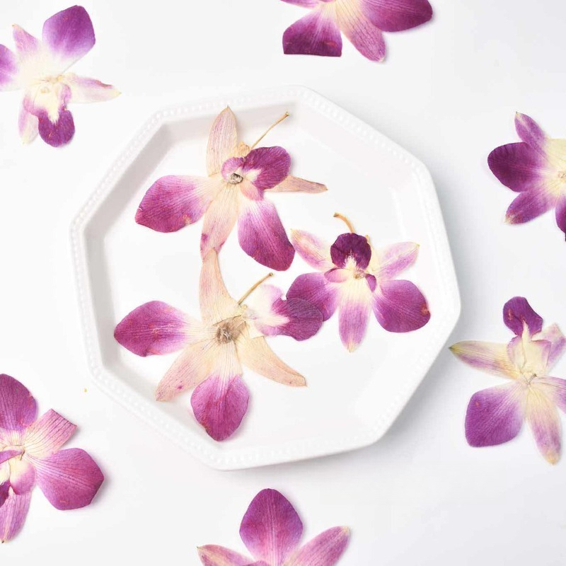 Resin Art Frame - 4 Pezzi, Fiori di Orchidea Farfalla